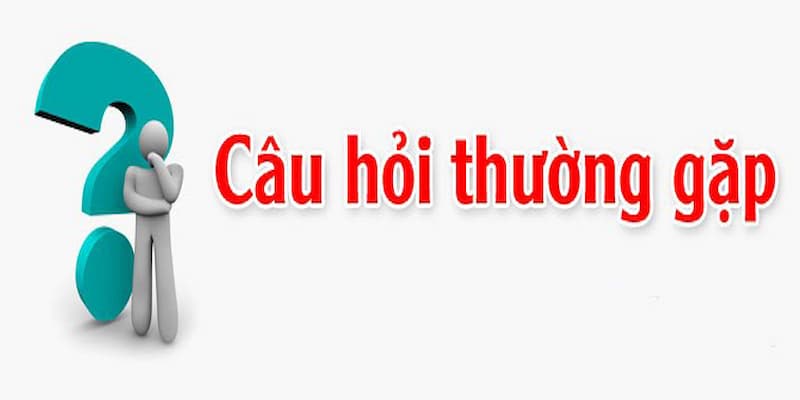 Cập nhật các câu hỏi thường gặp nhất tại Vua99